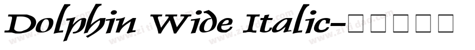Dolphin Wide Italic字体转换